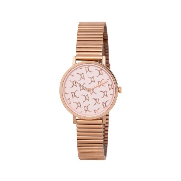 Đồng hồ nữ Pierre Cardin CBV.1540