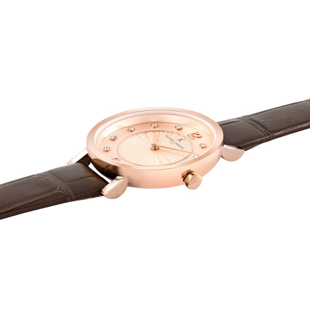 Đồng hồ nữ Pierre Cardin CCM.0541 