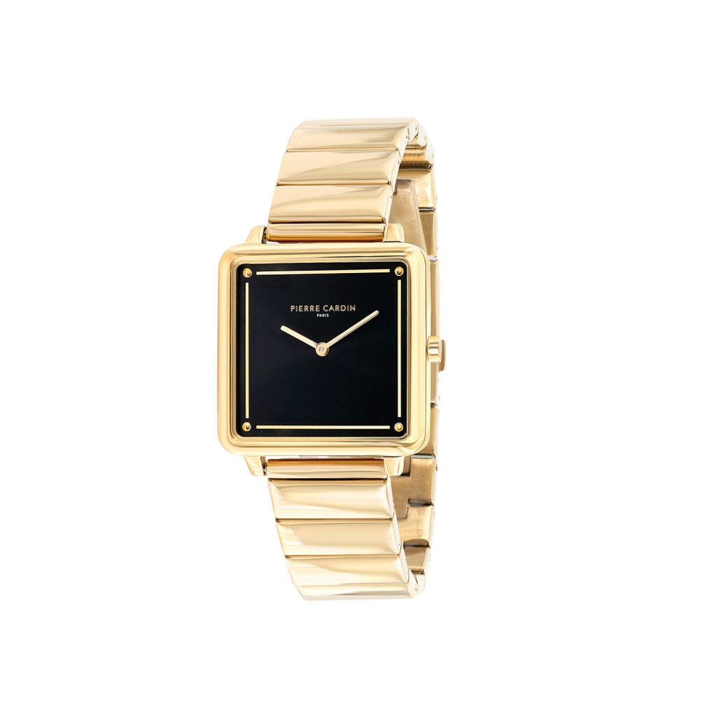 Đồng hồ nữ Pierre Cardin CSQ.7005 