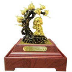 Giác Ngộ Minh Triết DGFBB0000600001