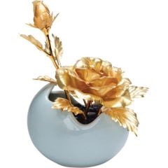 Hồng vàng khoe sắc DGFBZ0000900001