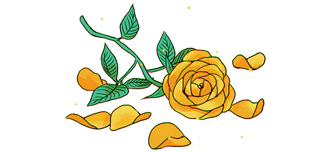 Cô gái nào cũng có một mơ ước nhỏ: Nhận được lời cầu hôn từ người mình yêu nhất - Ảnh 6.