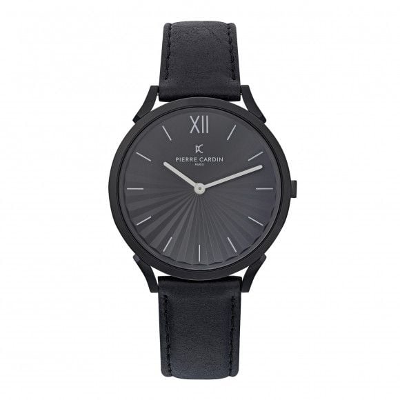 Đồng hồ nam Pierre Cardin CPI.2006 