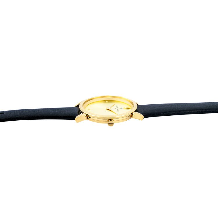 Đồng hồ nữ Pierre Cardin CPI.2533 