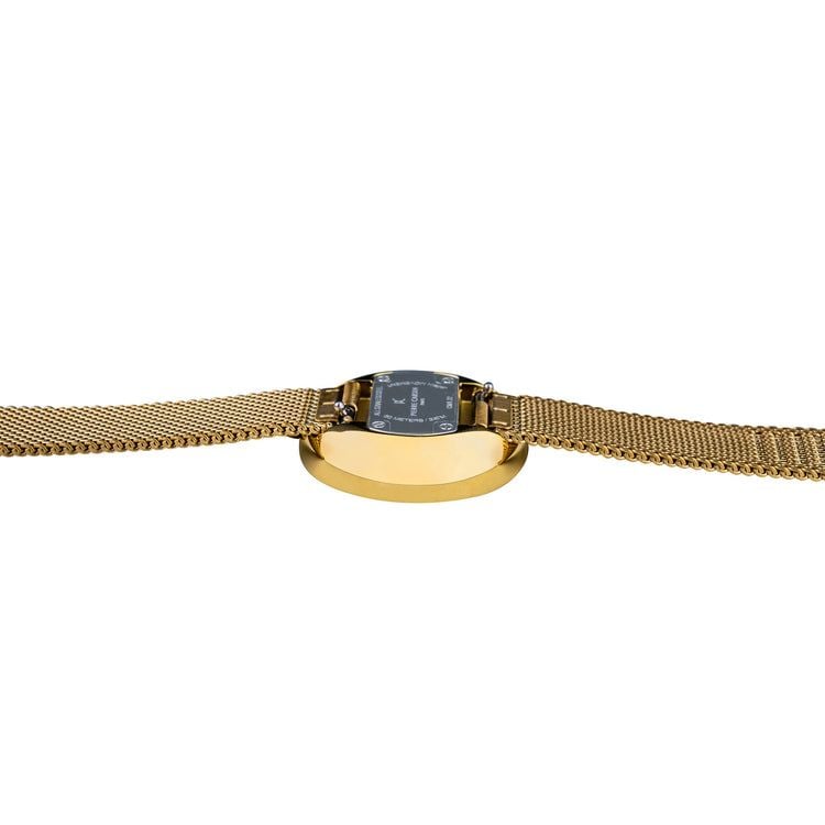 Đồng hồ nữ Pierre Cardin CMA.0016 