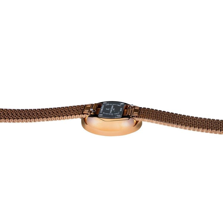 Đồng hồ nữ Pierre Cardin CMA.0017 