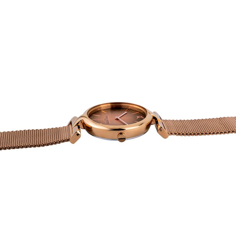 Đồng hồ nữ Pierre Cardin CMD.3509 