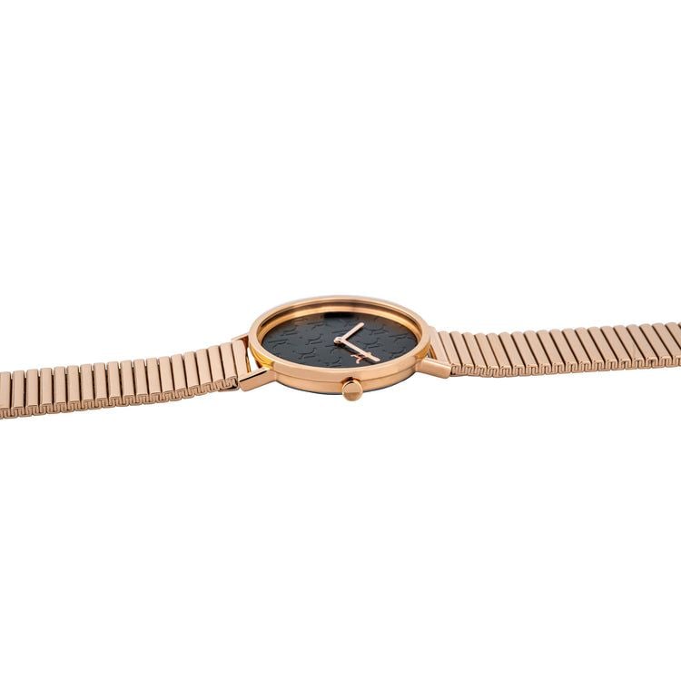 Đồng hồ nữ Pierre Cardin CBV.1513 