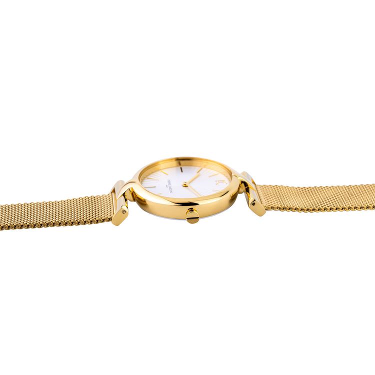Đồng hồ nữ Pierre Cardin CMD.3507 