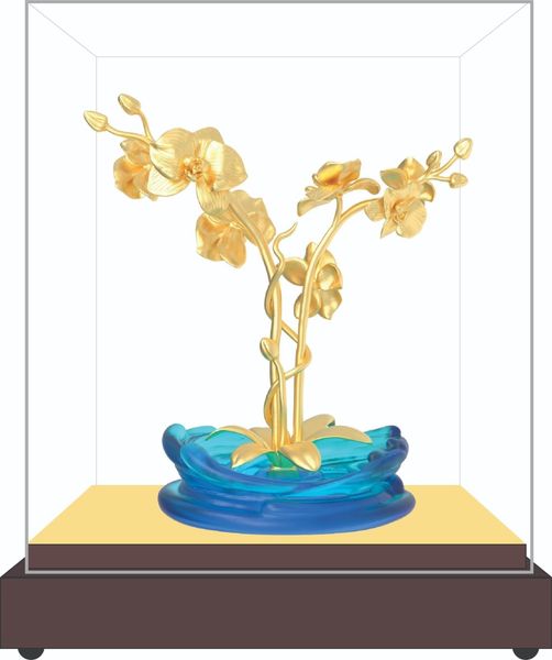 Mộc Lan Thanh Khiết DMNAA0503200001