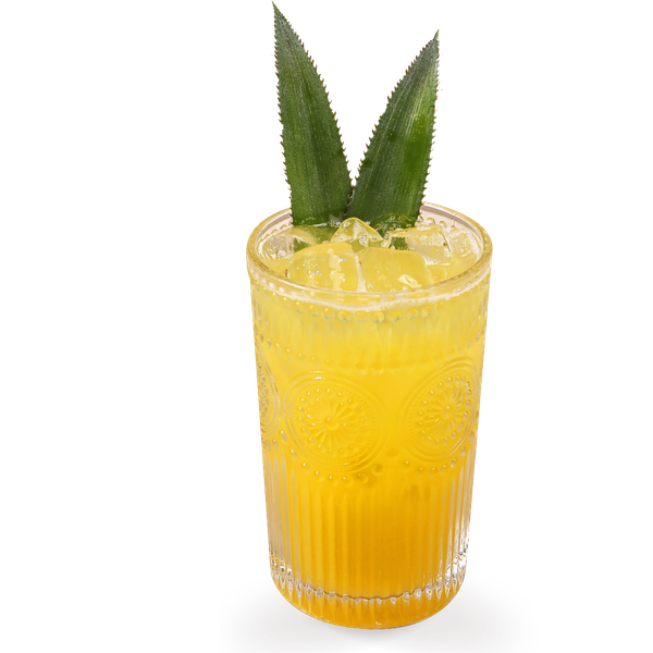  Nước Ép Thơm Thảo Tấm Lòng 