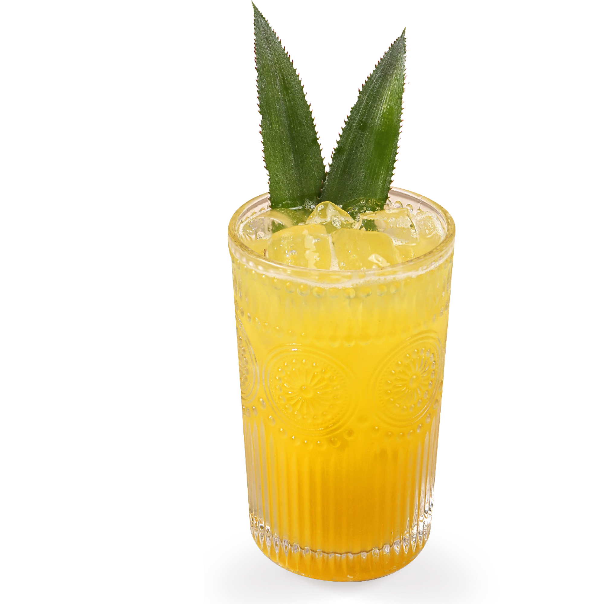  Nước Ép Thơm Thảo Tấm Lòng 