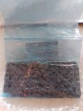 Nissan 13028EB70A Genuine Main Chain D40 13028-EB70A