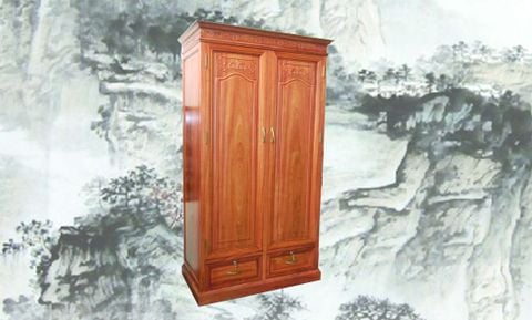 Tủ áo 2 buồng