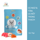  5Plus Catchy- Pate Dạng Thạch- Pate Dinh Dưỡng Cho Mèo 70gr 