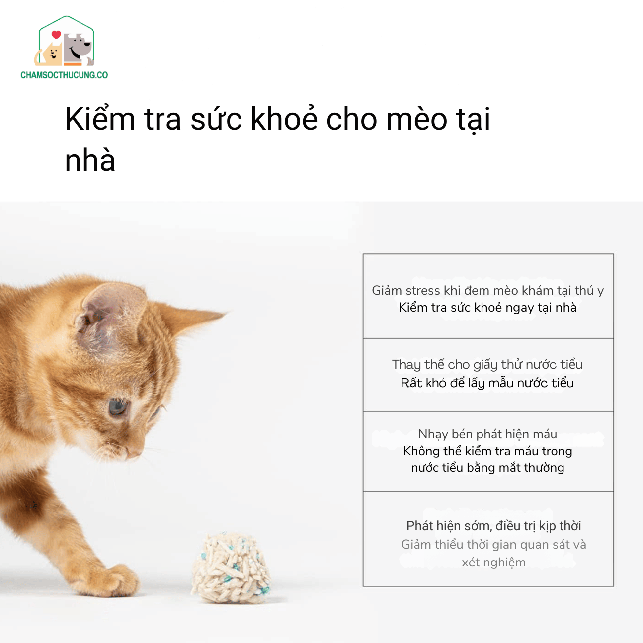  Cát Mèo- Cát Đậu Nành- Phát Hiện M.á.u- Pidan- Túi 2.4kg 