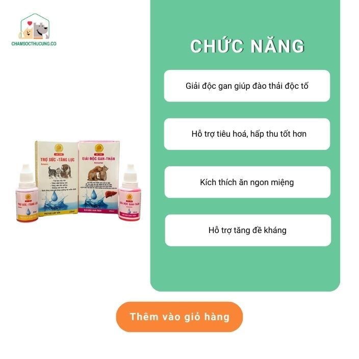  Combo Hỗ Trợ Chó Mèo Kén Ăn- Winsgroup 