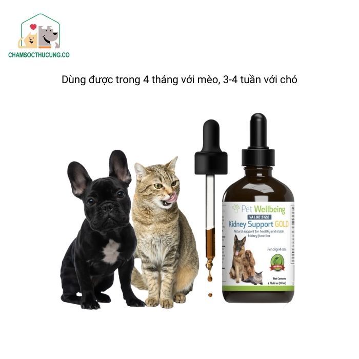  Dung Dịch Bổ Thận Chó Mèo- Kidney Support Gold- Pet Wellbeing- Hàng Mỹ- 59ml- Preorder 