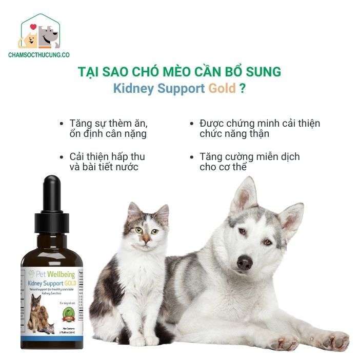  Dung Dịch Bổ Thận Chó Mèo- Kidney Support Gold- Pet Wellbeing- Hàng Mỹ- 59ml- Preorder 