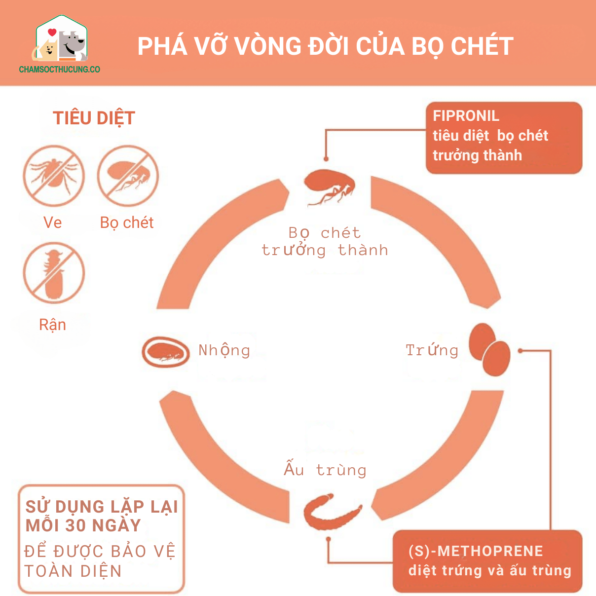  Fronil Extra Nhỏ Gáy Diệt Ve Bọ Chét Cho Chó Vemedim- 2kg-10kg 
