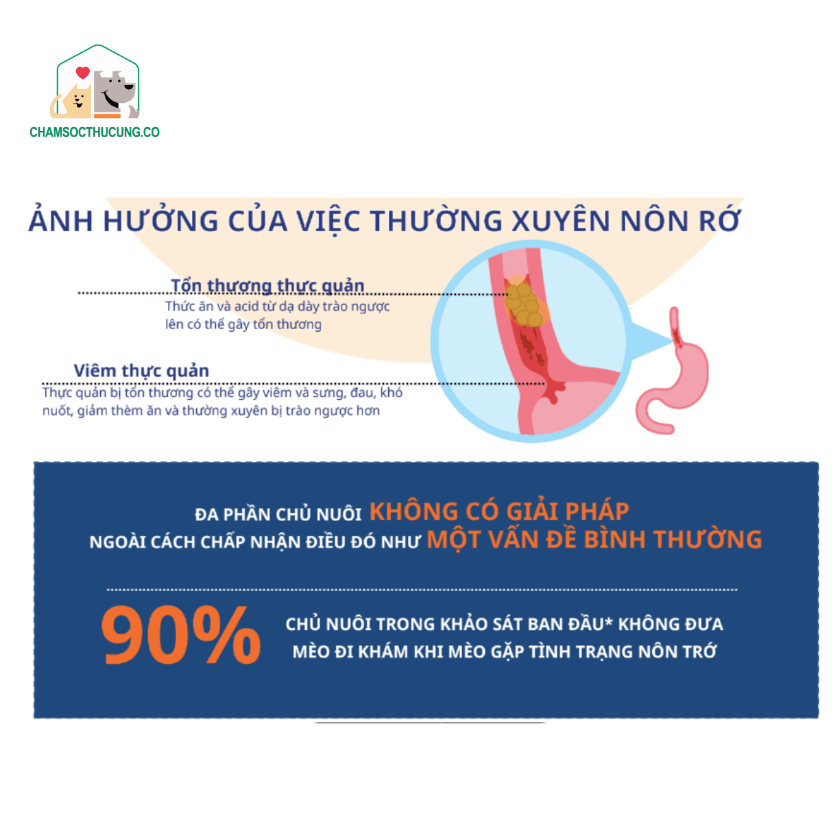  Thức Ăn Hạt Cho Mèo- Giàu Xơ, Giảm Nôn- MaxWell Nhật Bản 1.5kg/1.6kg 