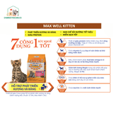 [Quà tặng] Thức ăn chống nôn cho mèo- MaxWell- 40gr 