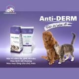  [Cải tiến tá dược] Kem Anti Derm Vemedim Giảm Viêm Da Ghẻ Xà Mâu 40gr 