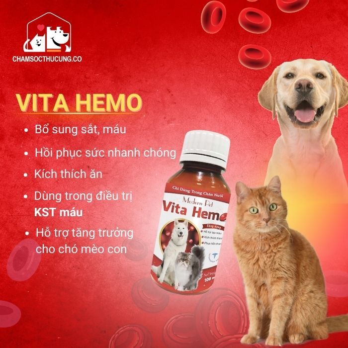  Vita Hemo Bổ Sung Sắt, Hỗ Trợ Tạo Máu Cho Chó Mèo- Modern Pet- 100ml 
