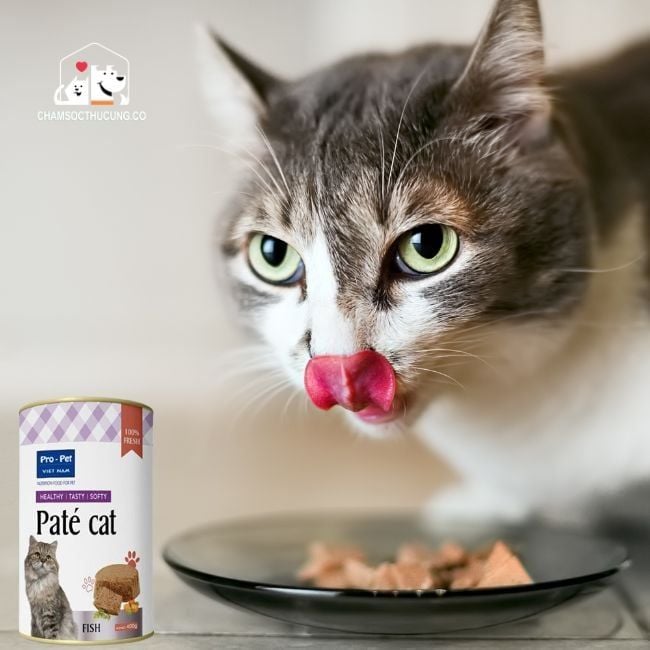  Pate Dinh Dưỡng Cho Mèo- Paté Cat Pro Pet 