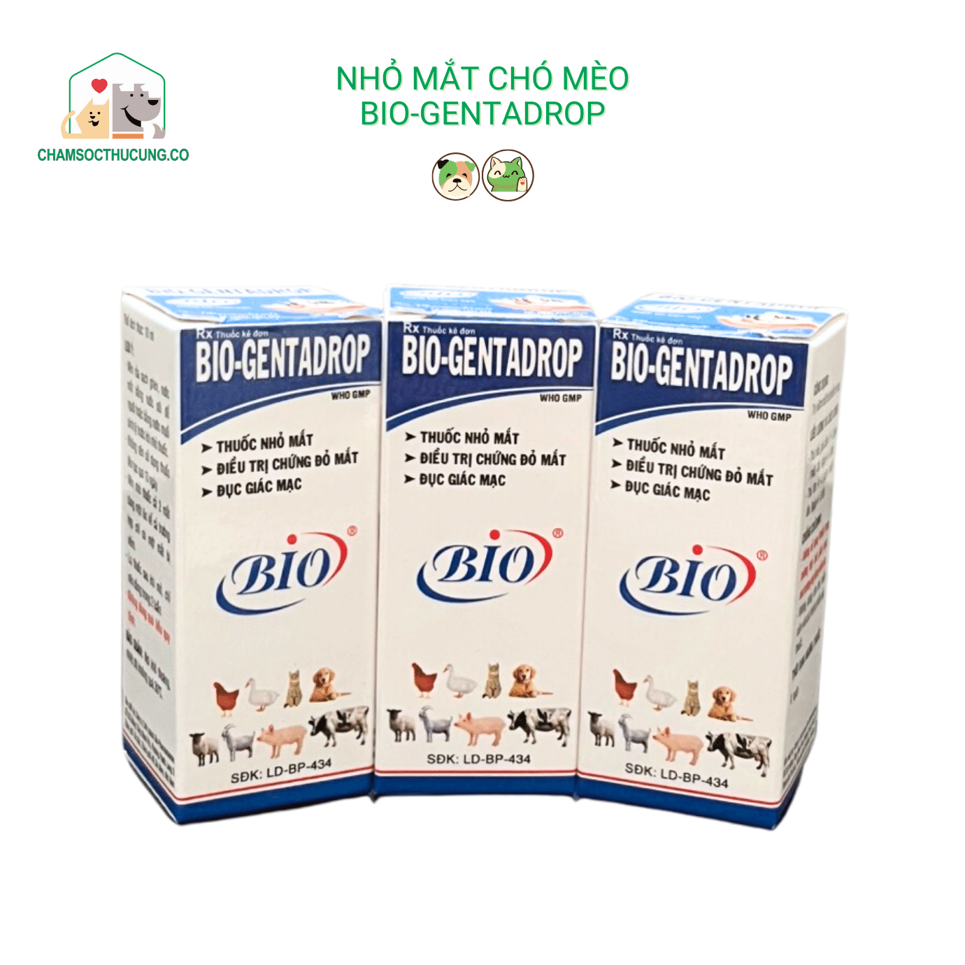  Dung Dịch Nhỏ Mắt Chó Mèo Bio GentaDrop 10ml 