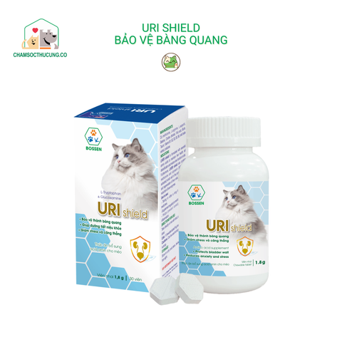 Sản phẩm mới