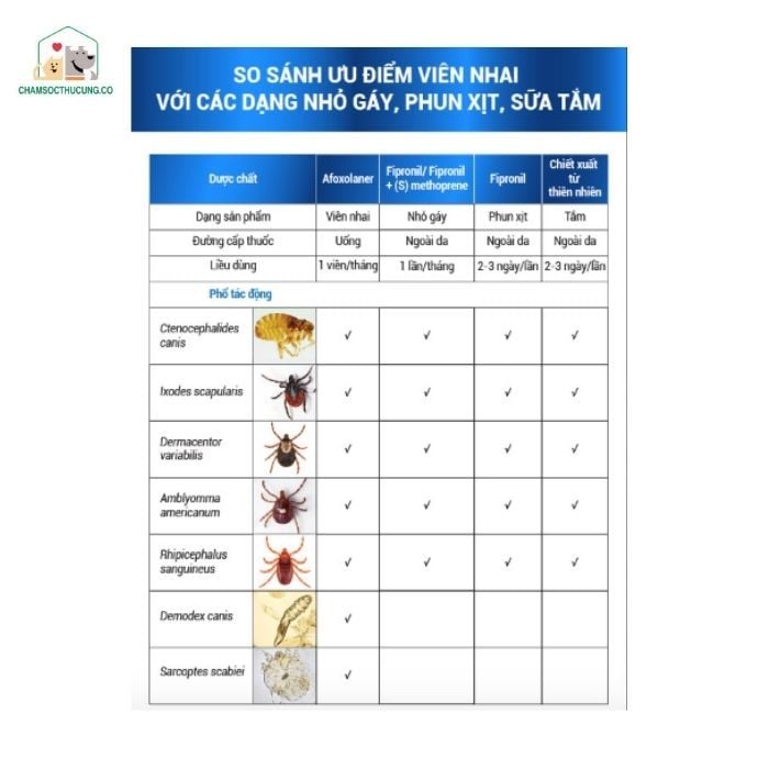  Viên Nhai ETO Modex Diệt Ve Rận, Bọ Chét, Ghẻ Cho Chó- Vemedim- Hộp 1 Viên 