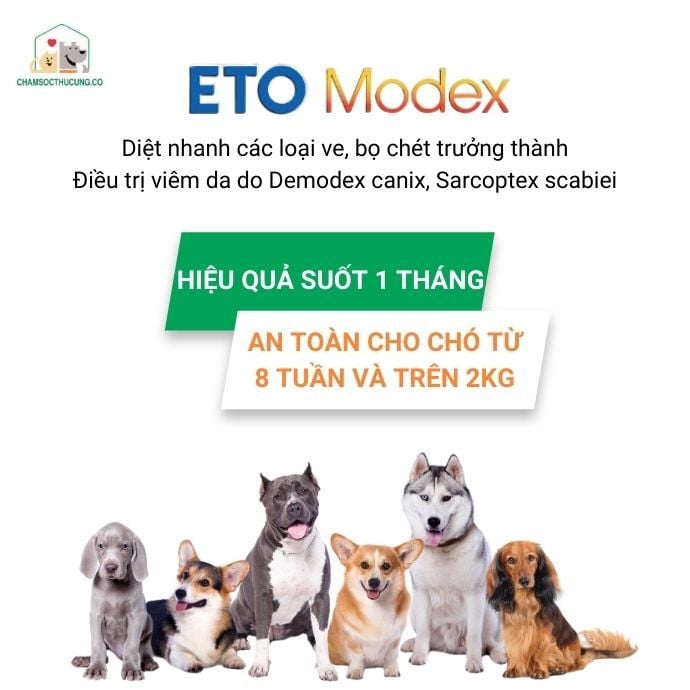  Viên Nhai ETO Modex Diệt Ve Rận, Bọ Chét, Ghẻ Cho Chó- Vemedim- Hộp 1 Viên 