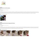  [Hàng Mỹ] Viên Hỗ Trợ Xương Khớp, Hông Cho Mèo Well & Good 