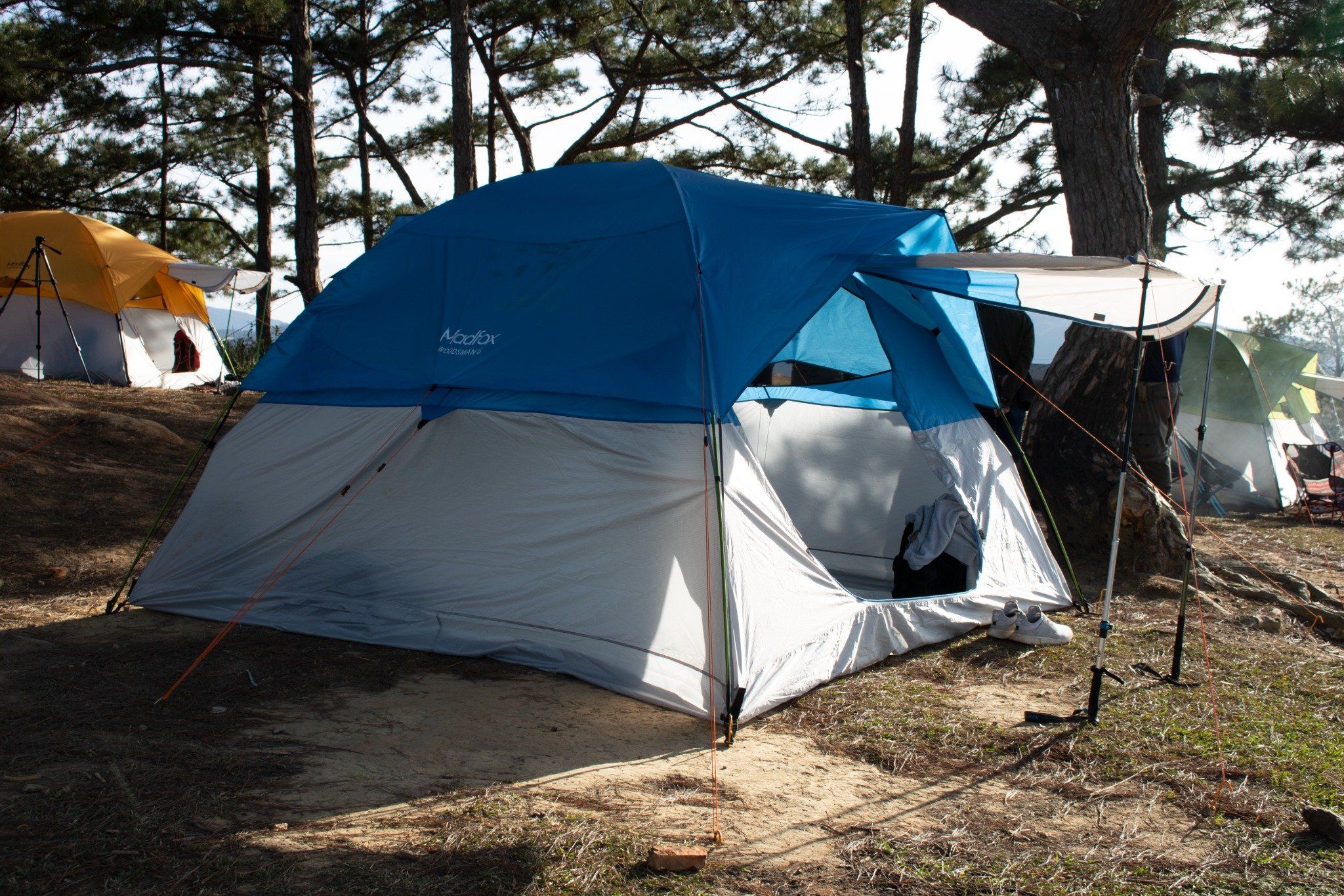  Woodsman 6 tent 