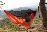  Cocoon-net mosquito proof hammock 