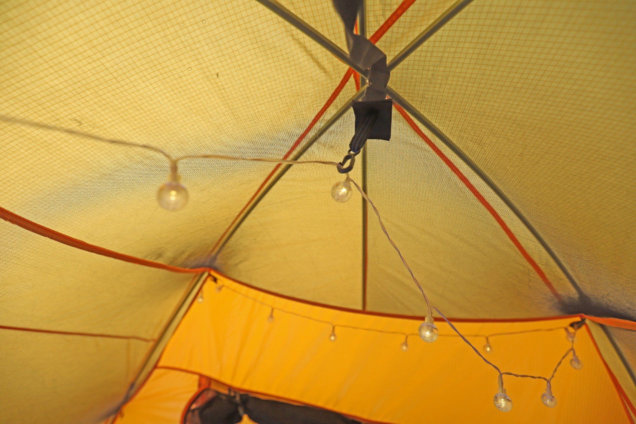  Woodsman 6 tent 