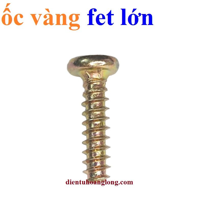 Ốc vàng bắt fet lớn (~1000 con)