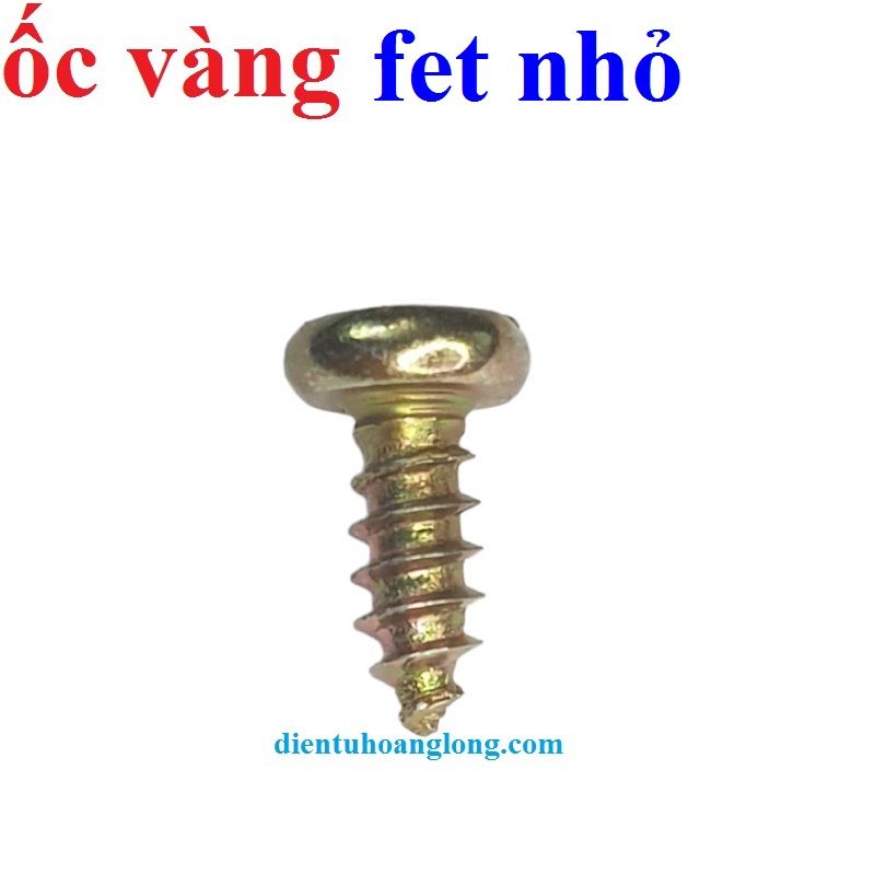 Ốc VÀNG bắt fet nhỏ (~1000 con)