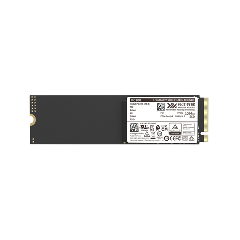 Ổ cứng SSD YMTC PC300 256GB NVMe M.2 2280 PCIe Gen4x4 (Đọc 3900MB/s - Ghi 2000MB/s) TRAY