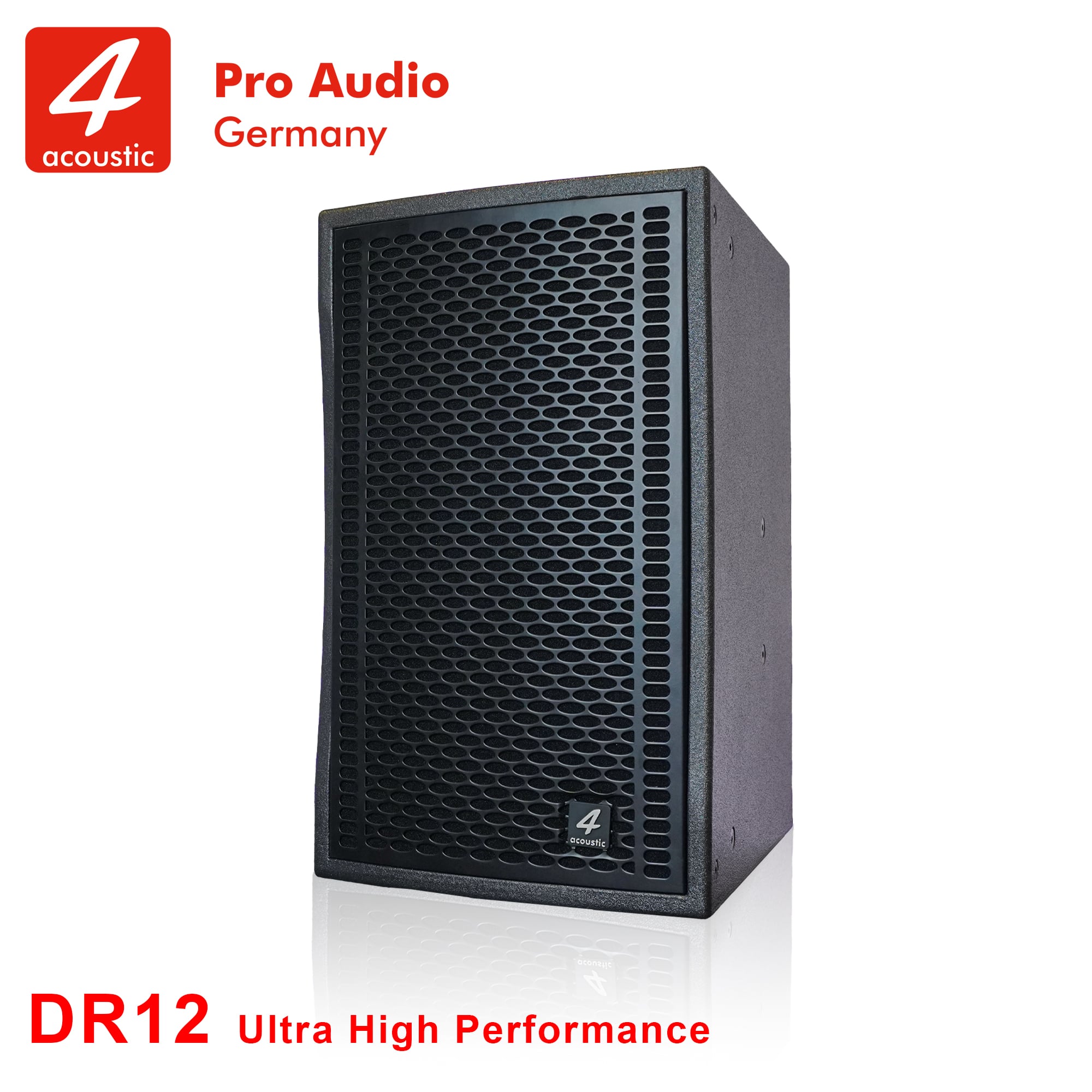 Loa Fullrange 4Acoustic DR12