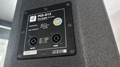 Loa 4Acoustic D12