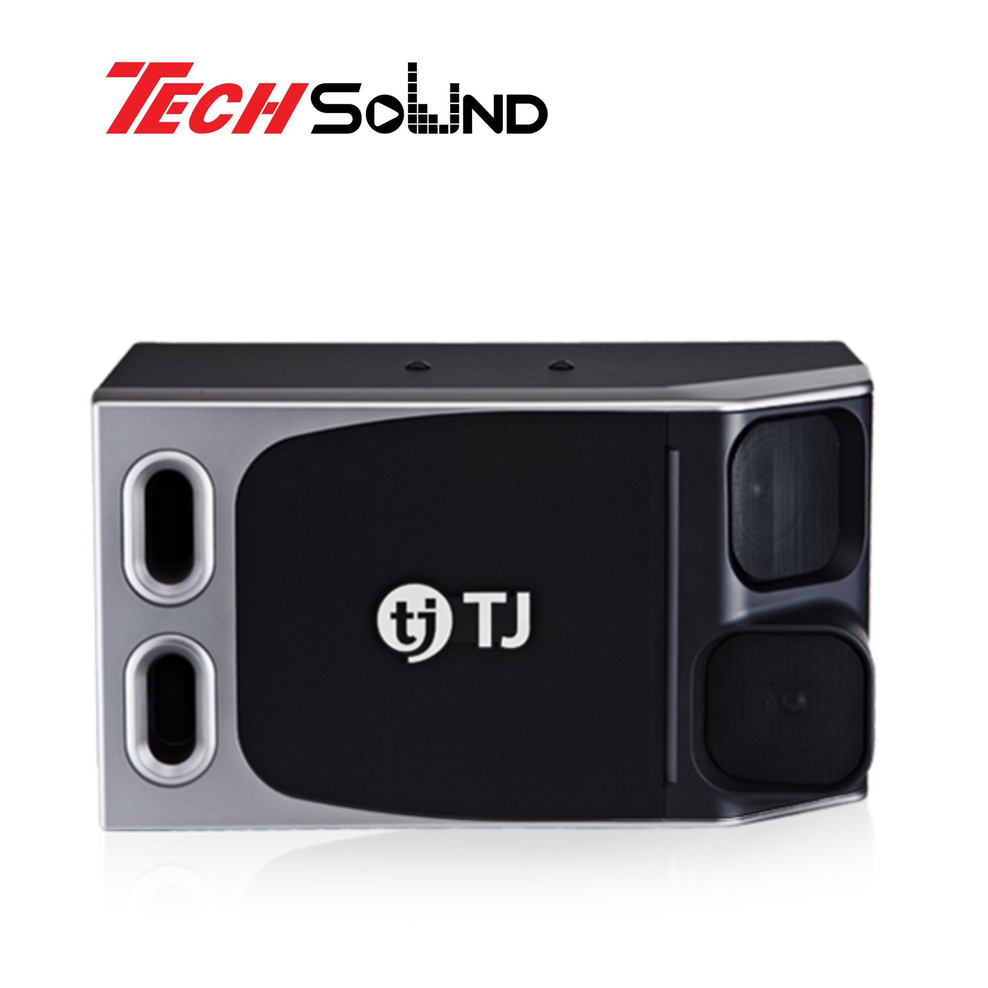 Loa karaoke TJ TS - H100