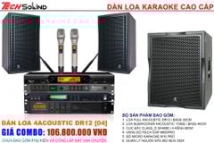 Dàn Loa 4Acoustic DR12 [04]