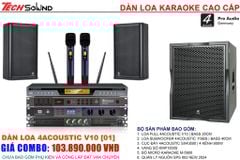 Dàn Loa 4Acoustic V10 [01]