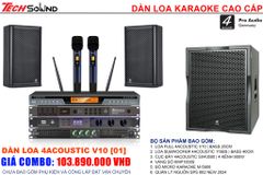 Dàn Loa 4Acoustic V10 [01]