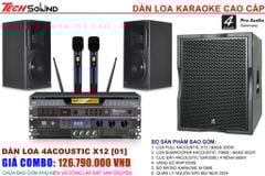Dàn Loa 4Acoustic X12 [01]