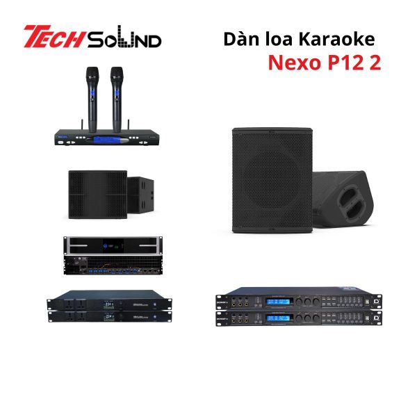 Dàn loa Karaoke NEXO P12 [ Dàn mẫu 2 ]