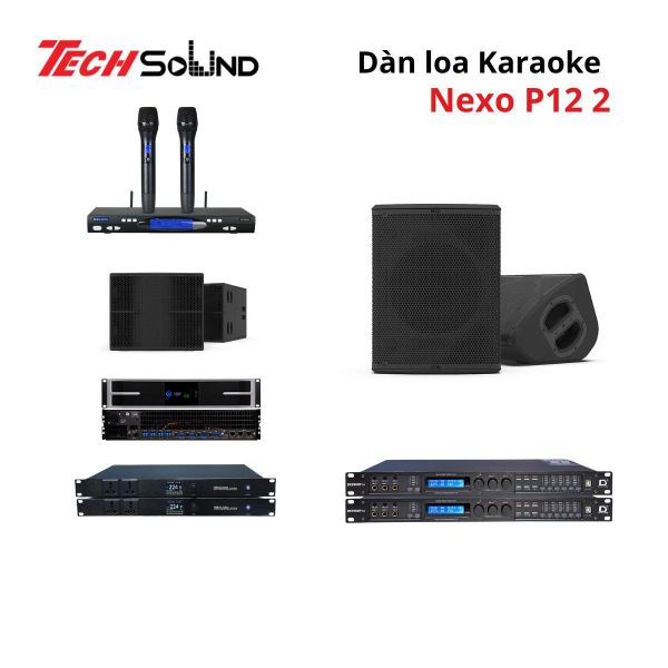 Dàn loa Karaoke NEXO P12 2