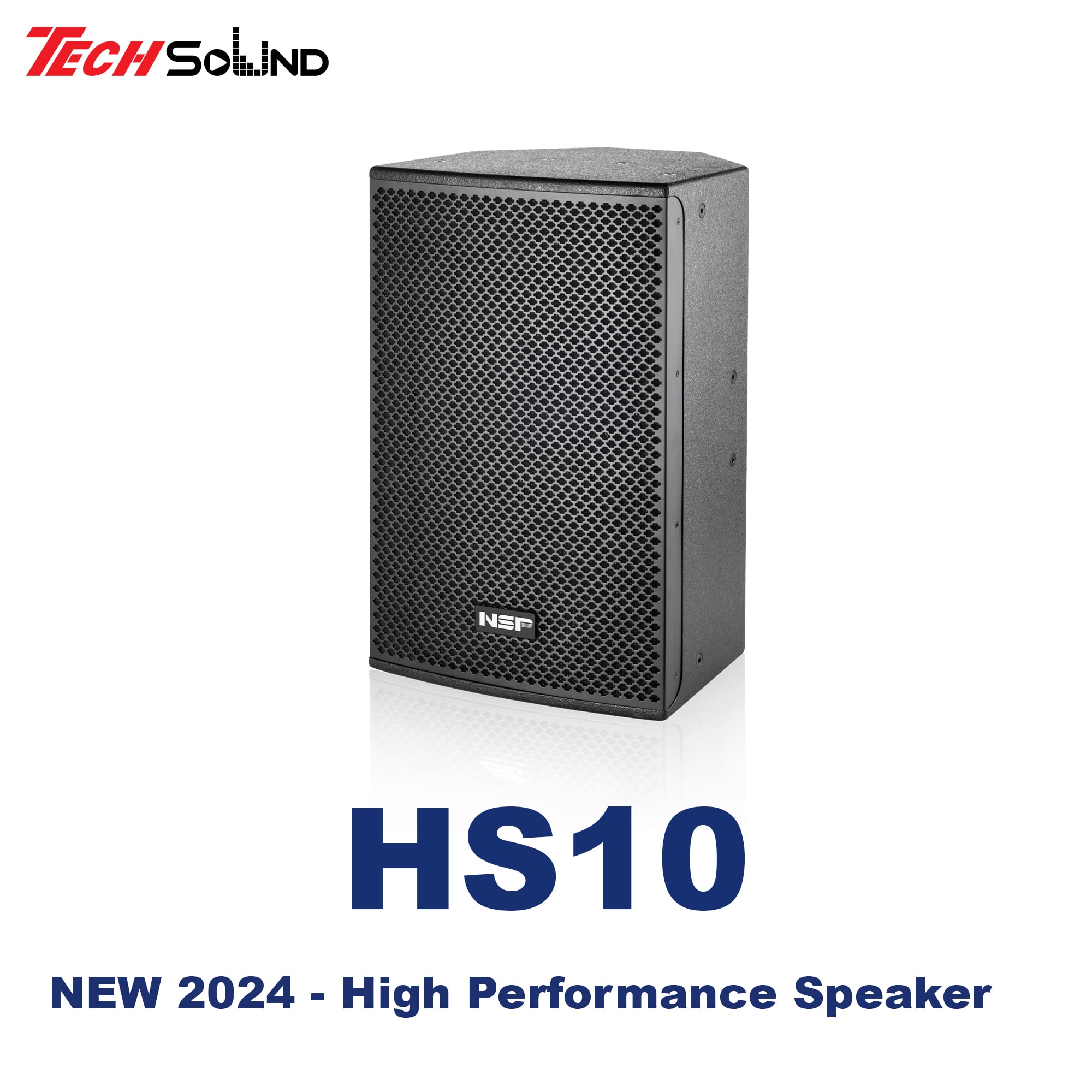 Loa Fullrange NSP Audio HS10